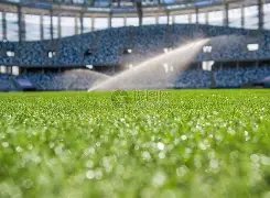 菅田将晖与,松菜奈喜结,连理,金宝博188bet体育官网,Bet188,Sports,足球直播,篮球赛事,体育高清,NBA直播